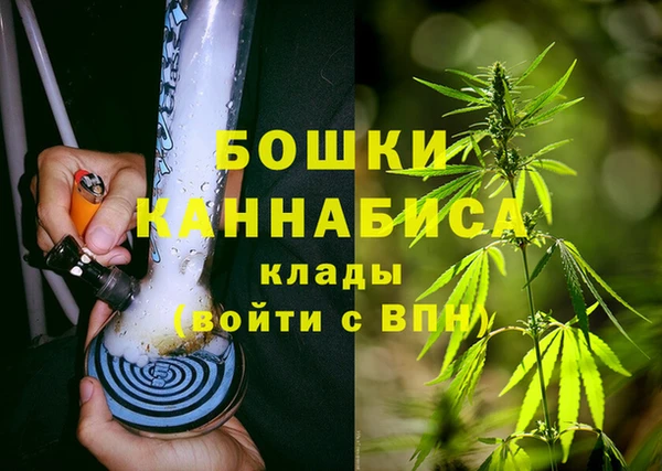 PSILOCYBIN Беломорск
