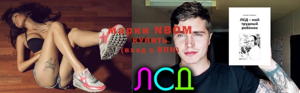 PSILOCYBIN Беломорск