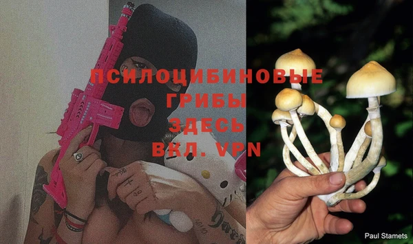 PSILOCYBIN Беломорск