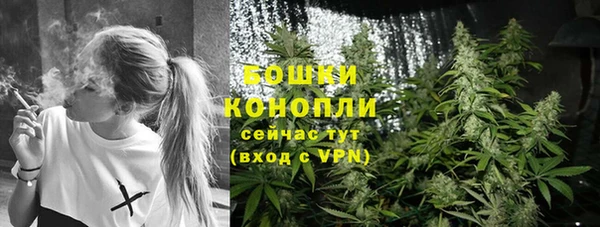 твердый Белокуриха