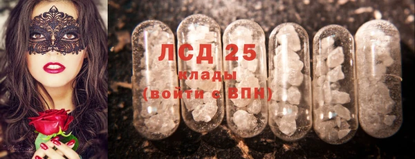 PSILOCYBIN Беломорск