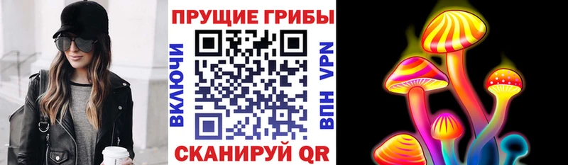 Псилоцибиновые грибы ЛСД Вытегра