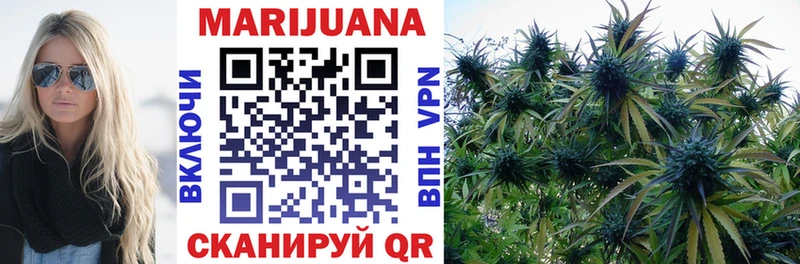 Шишки марихуана OG Kush  Вытегра 